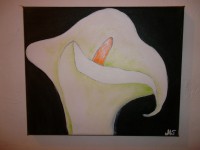 /album/fotogalerie/die-calla-24x30-jpg/